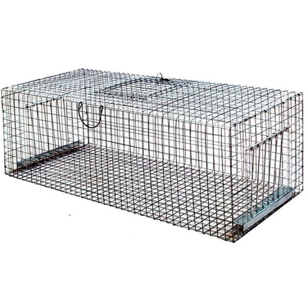 Cage Capture multiprise Pigeons : : Jardin