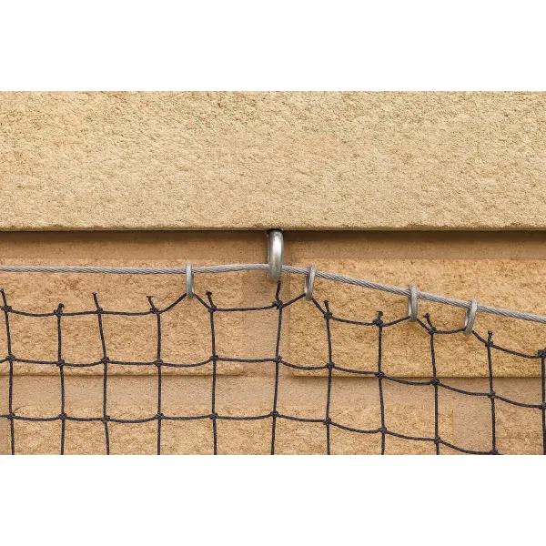 Détail du câble en acier inoxydable tendu, servant de cadre de support solide pour la fixation d'un filet anti-pigeons.