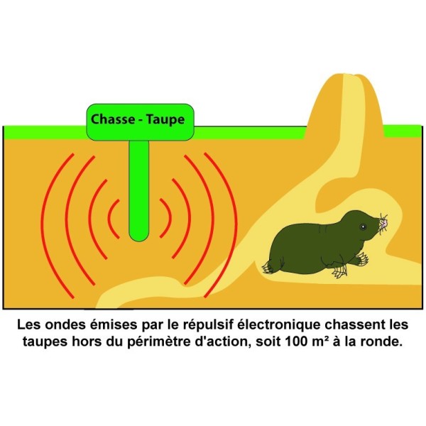 RÉPULSIF SOLAIRE ULTRASONIQUE ANTI RONGEUR TAUPE SOURIS CAMPAGNOL RAT  ANIMAUX