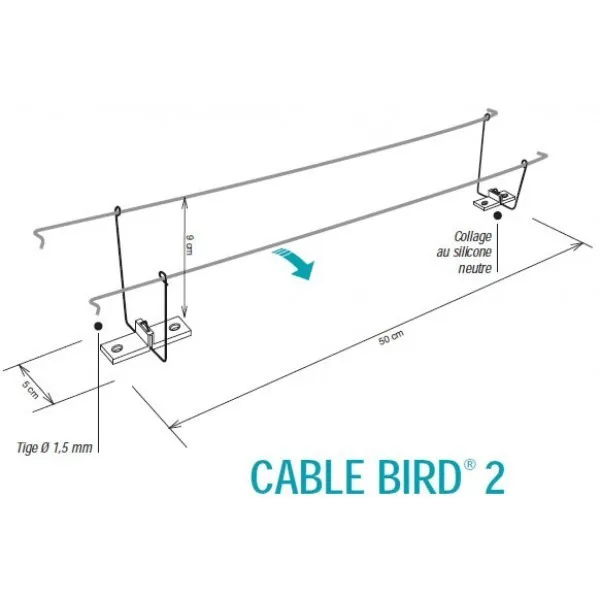 CÂBLE BIRD 2 (50 Mètres)