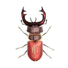 Insectes