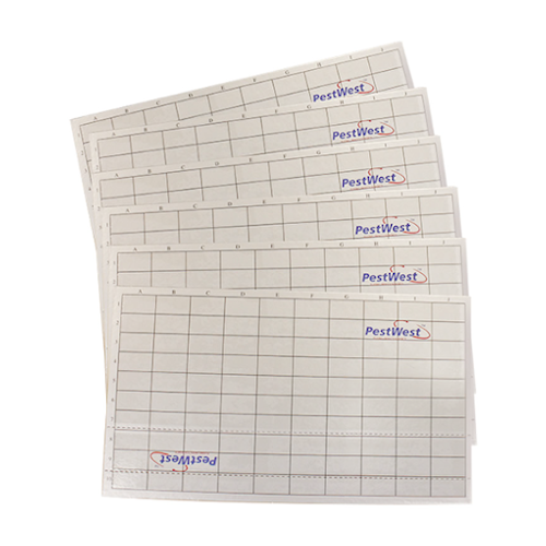 PLAQUE DE GLU CHAMELEON (LOT DE 6 PLAQUES) – Image 2