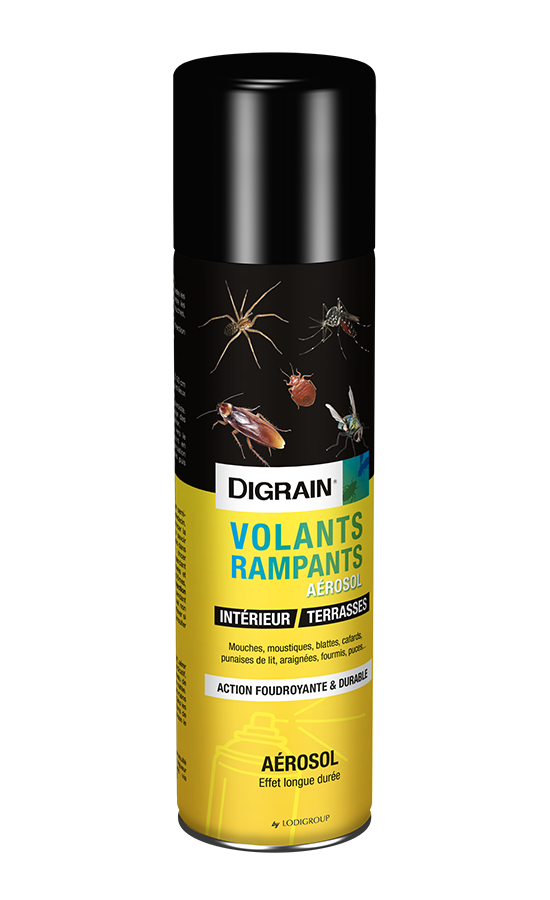 INSECTICIDE CAFARD 500ML