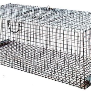 CAGE CAPTURE PIGEONS