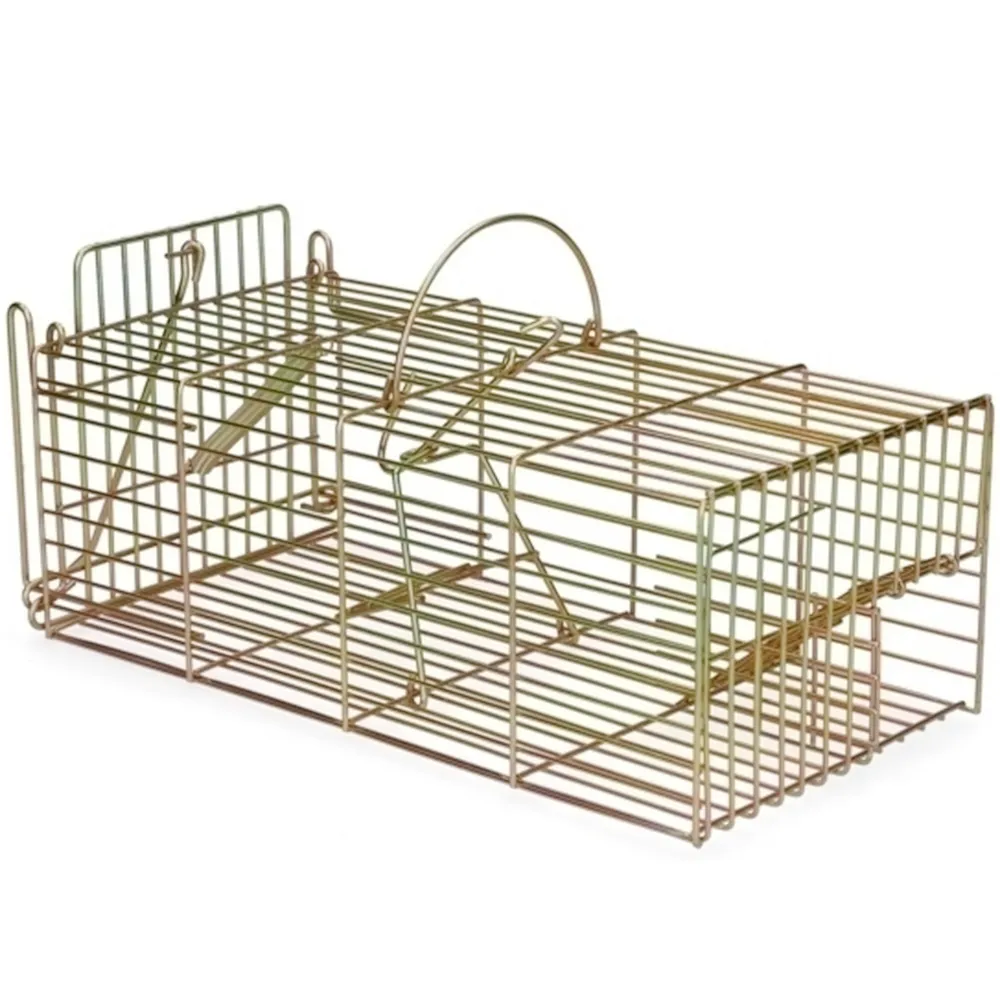 NASSE A RAT MULTIPRISE