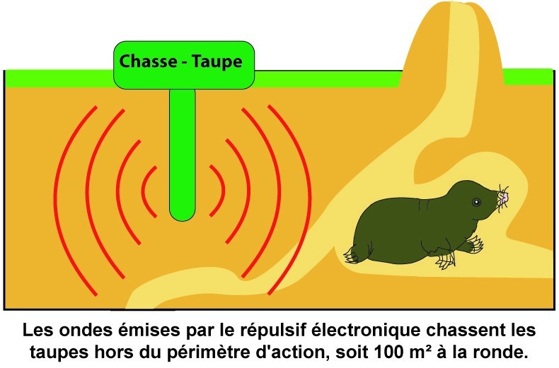 RÉPULSIF TAUPES (SUR PILES)