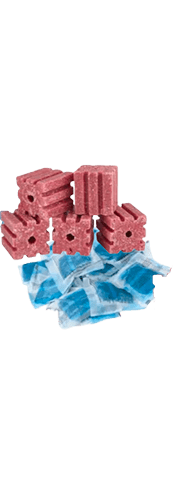 Produits anti-souris Rats & Souris